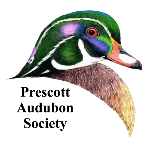 Logo of Prescott Audubon Society