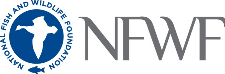 Logo of National Fish and Wildlife Foundation