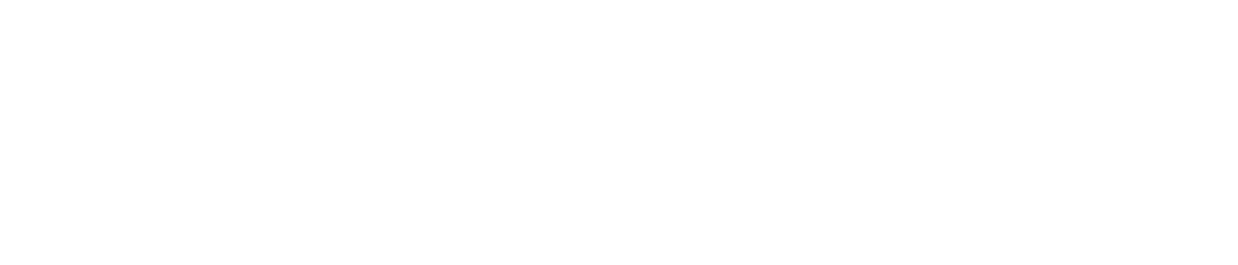 Logo of American-German Institute