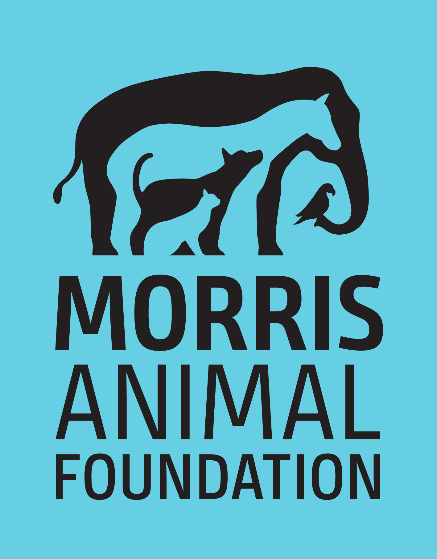 Logo of Morris Animal Foundation