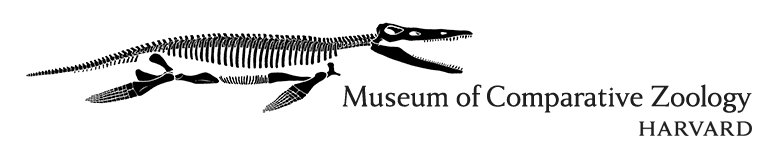 Logo of Museum of Comparative Zoology