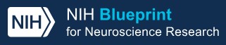 Logo of NIH Blueprint for Neuroscience Research